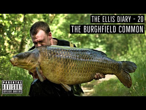 THE ELLIS DIARY - THE BURGHFIELD COMMON!