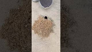 Download lagu Boy Found Something TERRIFYING Hiding Inside This Hole ! 😱 #shorts mp3