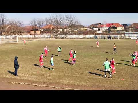 Progresul Ezeriș - Timișul Șag 1-1 (1-1) rep2
