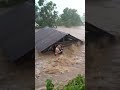 Kondisi rumah gubuk terdampak banjir