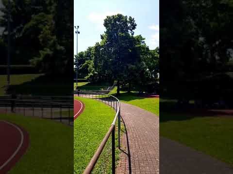 Groundhopping im Sportpark Ellental: SV Germania Bietigheim - SC Stammheim 4:2