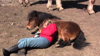 Kyra & Cupcake Napping
