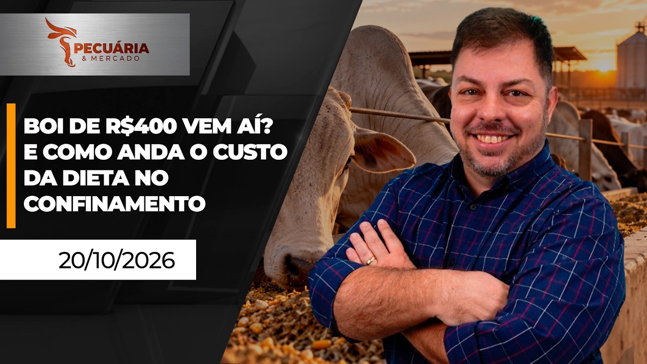 PECUÁRIA E MERCADO - Boi de R$400 vem aí? E como anda o custo da dieta no confinamento