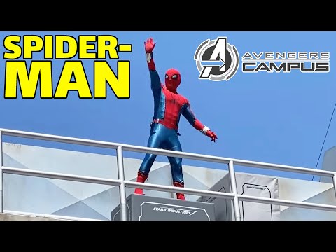 Spider-Man Soars Through The Skies Above Avengers Campus