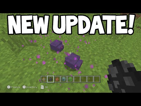 Minecraft Wii-U Edition - TU30/TU33 Big Update! - OUT NOW! (Gameplay)