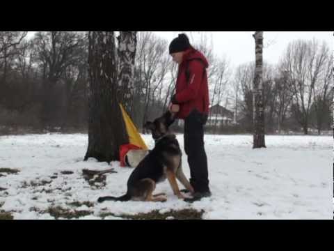 YKAR Vikar - training "aport" (20 months)