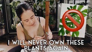 🙅🏻‍♀️ 12 plants i would NEVER own again 🙅🏻‍♀️ repot, storytime + attempting a wooden plant pole