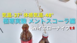 極寒実験 メントスコーラ編 in イエローナイフ 〜真っ白なものは汚したくなる〜