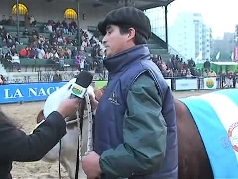 Ibirá Pytá - Campeon Rural Palermo 2012