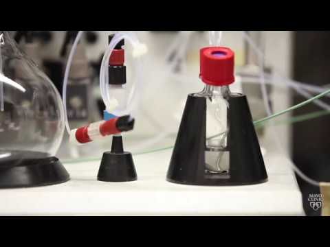 Mayo Clinic Minute: A better look at prostate cancer