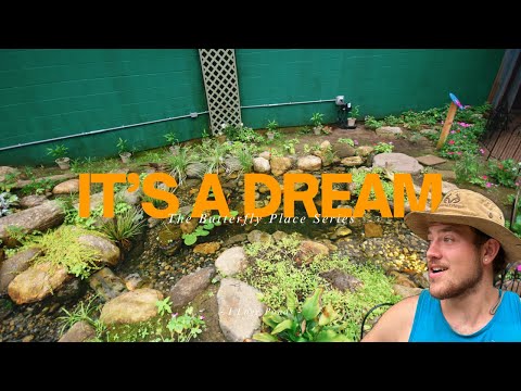 THIS BUTTERFLY SANCTUARY HAS BEEN TRANSFORMED | POND TOUR