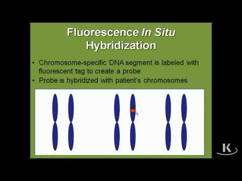 MedGen Ch03f AdvMoleCytog xvid