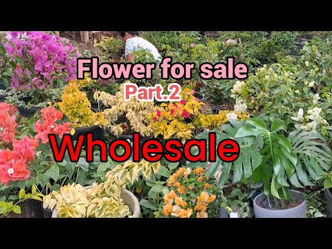 #Wholesale #flower_for _sale part.2