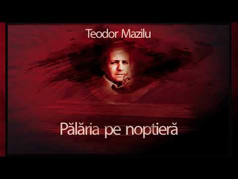 Teodor Mazilu - Palaria pe noptiera (1992) #teatruradiofonic #teatruaudio #teatruonline #teatruvechi