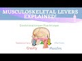 Musculoskeletal Levers Animation | 3 Types of Lever Systems