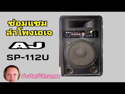 Ps1282 repair AJ speaker model SP112U