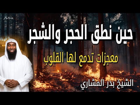 قصة الرسول ﷺ وحكاية الحجر والشجر 🙏🙏 معجزات تُذهل العقول للشيخ بدر المشاري