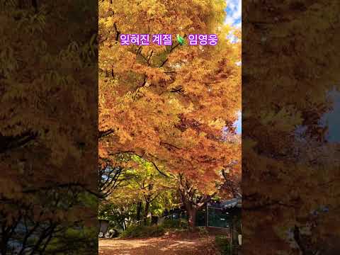 #잊혀진계절에묻어둔추억 #잊혀진계절#임영웅뮤비