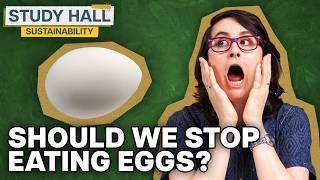 Feeding the World Sustainably | Sustainability 23 of 31 | Study Hall