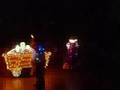 Disney S Electrical Parade