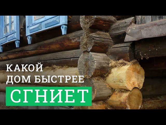 Постер для видео - Какой деревянный дом сгниёт быстрее? Из сосны, кедра или лиственницы?