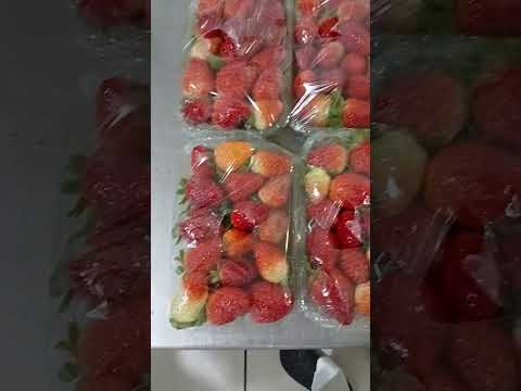 strawberry to put in pie in gourmet cake