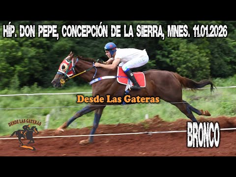 BRONCO - HIPICO "DON PEPE" CONCEPCIÓN DE LA SIERRA, MISIONES 11.01.2026