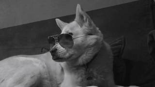 Turn Your Captions On