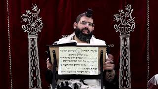 זבחים דף נ' ע''ב ¤ הרב נתנאל אברז'ל ¤ בית הכנסת "בית מרדכי" (מוסדות תורת דוד) - התמונה מוצגת ישירות מתוך אתר האינטרנט יוטיוב. זכויות היוצרים בתמונה שייכות ליוצרה. קישור קרדיט למקור התוכן נמצא בתוך דף הסרטון