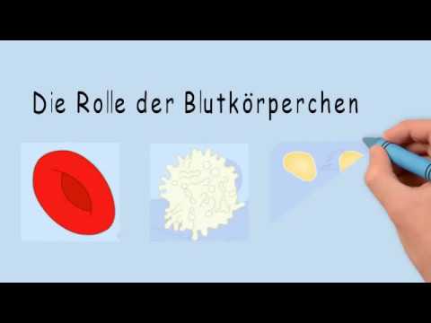 Kaufen ein Kissen von Prostatitis Surgut Prostata-Massage