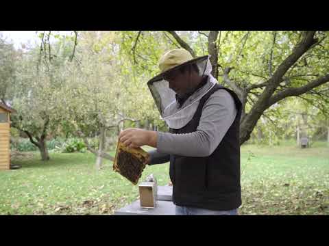 Az év agrárvállalkozója 2025-ben Molnár Gergely