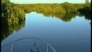 preview picture of video 'Mud Creek, near Port Pirie.'