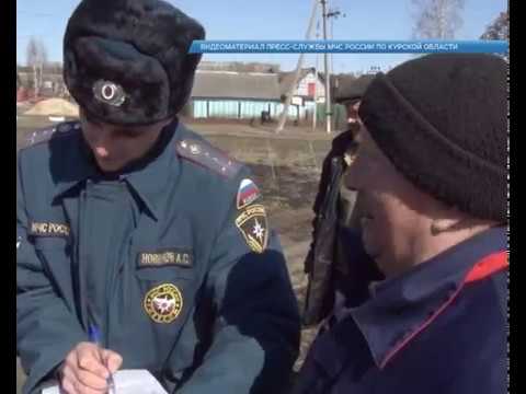 Курян штрафуют за сжигание травы