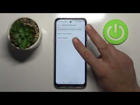 How to Change Google Assistant Language in TCL 20 5G?