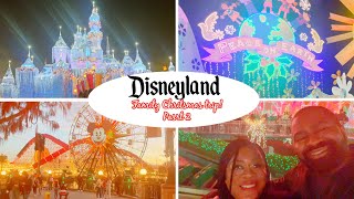 HAPPY NEW YEAR! DISNEYLAND FAMILY CHRISTMAS TRIP! Part 2!