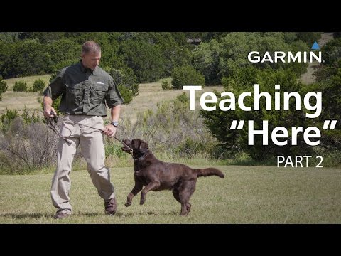 download lagu mp3 mp4 Garmin Here, download lagu Garmin Here gratis, unduh video klip Garmin Here