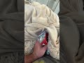 She Squeezed So Hard Shorts