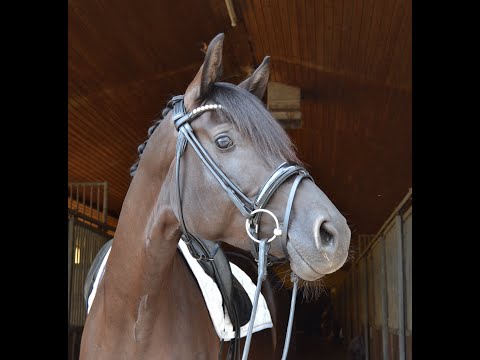 Motte (Morricone x Hotline) *2020