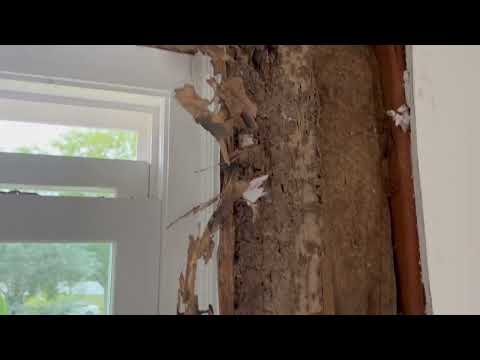 Massive Termite Damage in the Master Bedroom in Mantoloking, NJ