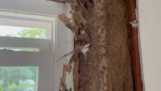 Massive Termite Damage in the Master Bedroom in Mantoloking, NJ