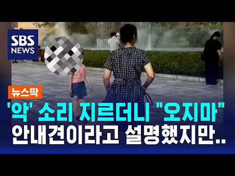 '악' 소리 지르더니 "오지마" 안내견이라고 설명했지만.. / SBS / 뉴스딱