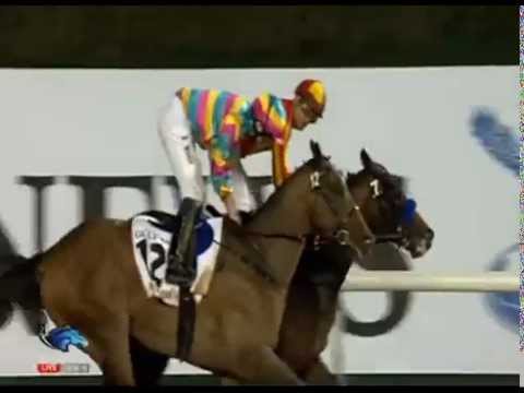 Dubai Golden Shaheen 2015 - Winner: SECRET CIRCLE (USA)