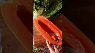 Download lagu Right Way to Consume Papaya✨ mp3