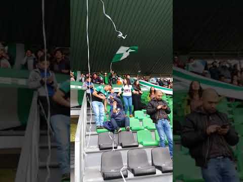 "los del sur deportes puerto montt contra loros" Barra: Los del Sur &bull; Club: Deportes Puerto Montt