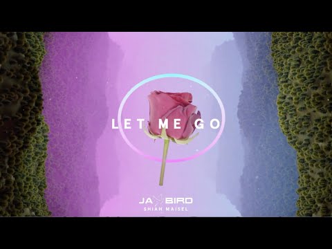 Jay Bird- Let Me Go feat Shiah Maisel