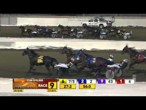 Meadowlands March 7, 2015 - Race 9 - Seek The Dragon