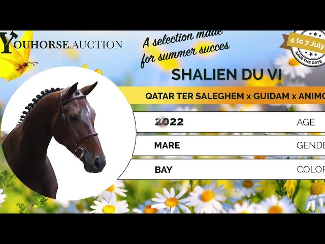 Shalien du Vi showvideo