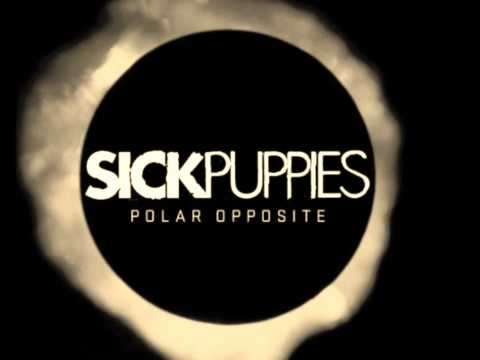 You're Going Down (Acoustic) + Lyrics - Sick Puppies New Album! (Polar Opposite)