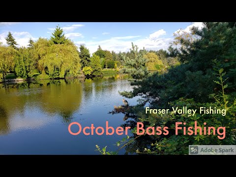 October Bass Fishing at Fishtrap Creek
