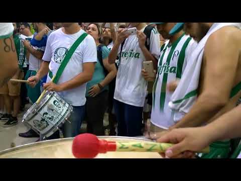 FINAL DE JOGO PALMEIRAS X BAMBIS - MANCHA E TUP BATUCANDO